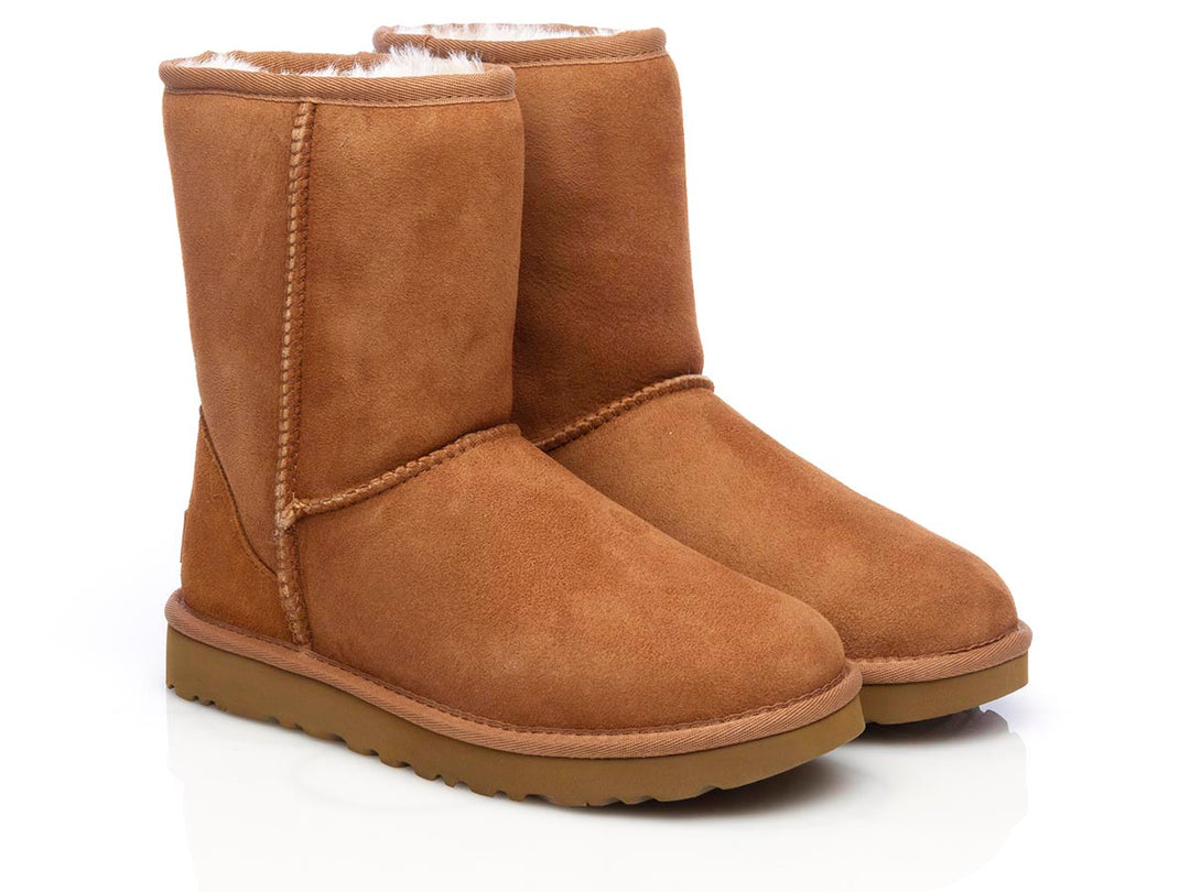 Stivale Ugg Classic Short chestnut